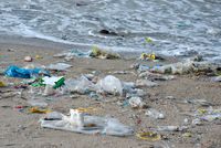 Beach pollution. Plastic bottles and other waste on the beach. Photo: © iStock/Phonix_a